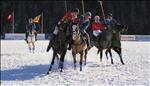 polo in the snow
